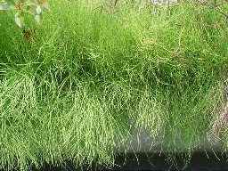 �����ʤܡ��ܡ�