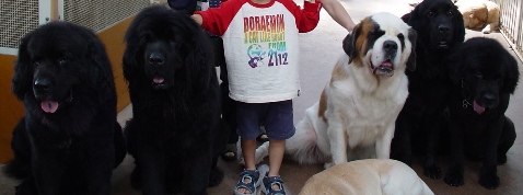 �ϤäϤäؤäؤ�