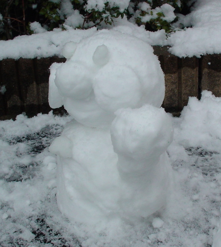 ������ѡ��������