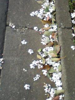 ���ä����β֤�������