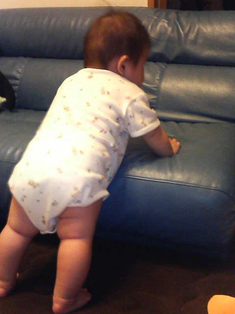 �ɤ�������