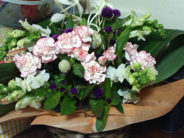 ���󥮥祽��