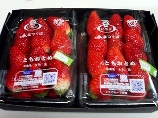 �Ȥ����Ȥ�