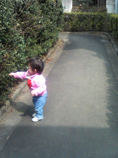 �����ȿ���礦