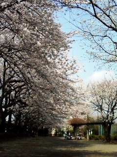 �����餵����