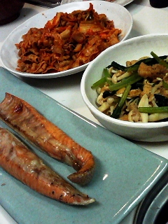 ���륷����Ŵʬ�꿩