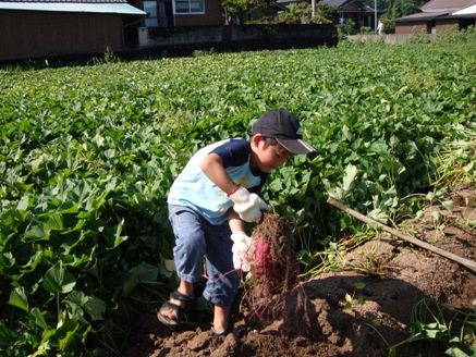 �ɤ�������