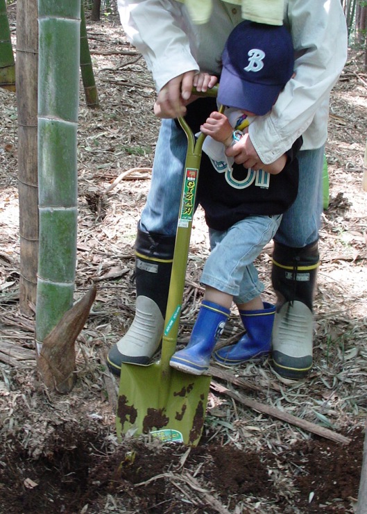 ���Ф����Ȱ��˷��äƤޡ���