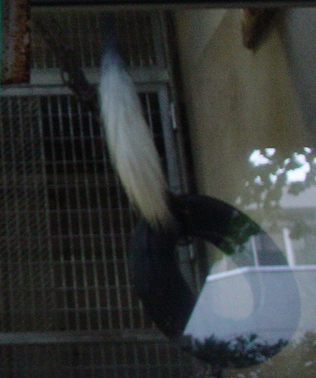 ���ӥ��˥������֥����ä�