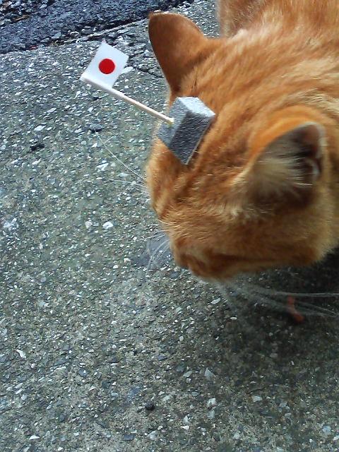 �ϥ�˷�����硼