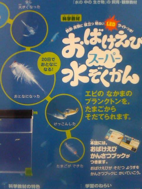 �����ѡ�������������