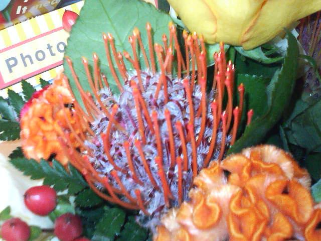 �˻�����