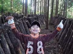 �����������ξ���