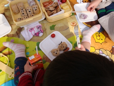 Ĺ��������Ƭ