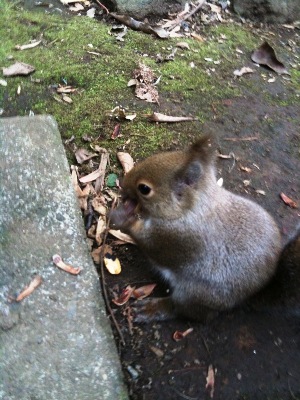 ������롩